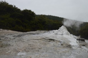 Lady Knox Geyser