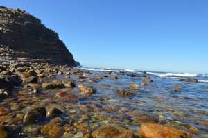 Cape of Good Hope