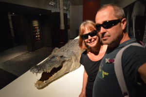 Krokodil